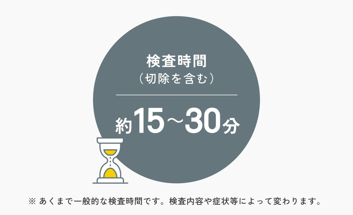 検査時間 (切除を含む) 約15~30分 ※あくまで一般的な検査時間です。検査内容や症状等によって変わります。